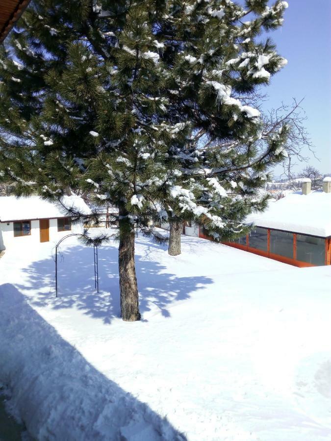 Bolyarski Stan Guest House Велики-Преслав Экстерьер фото
